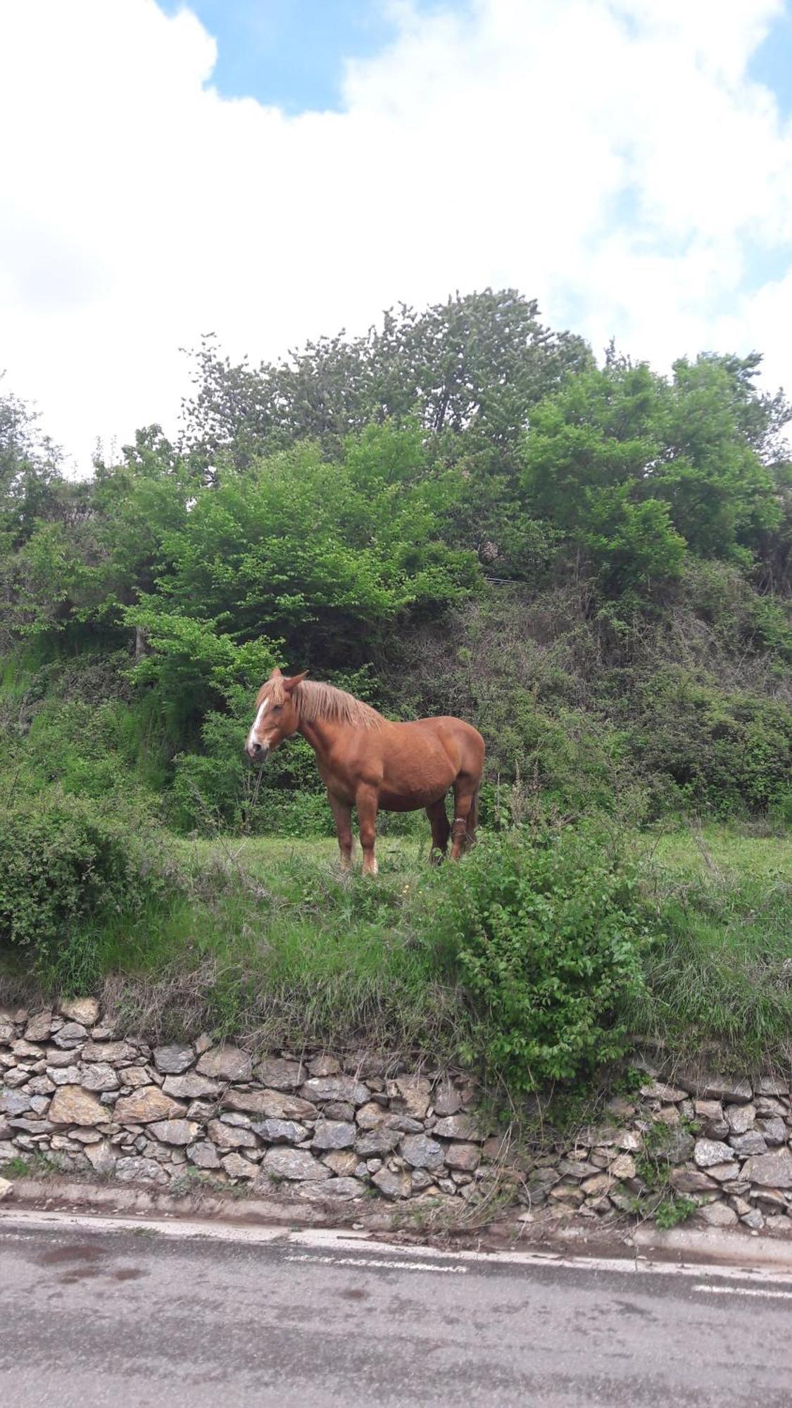 Tornafort Casa Rural Baro المظهر الخارجي الصورة